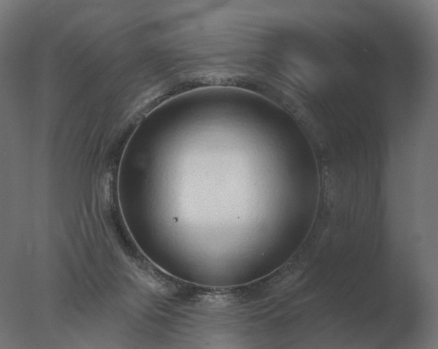 X0000077310071200610271654