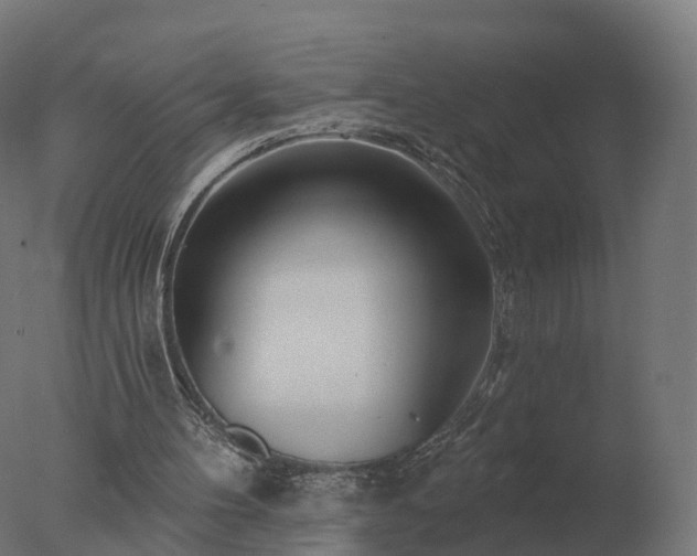 X0000077310100200610271654