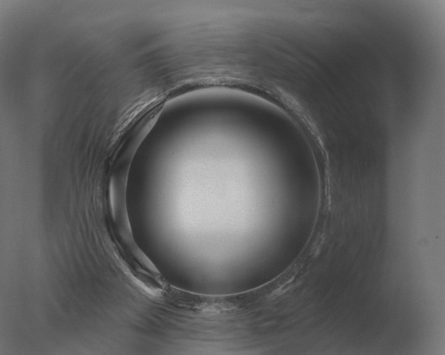 X0000077310105200610271654