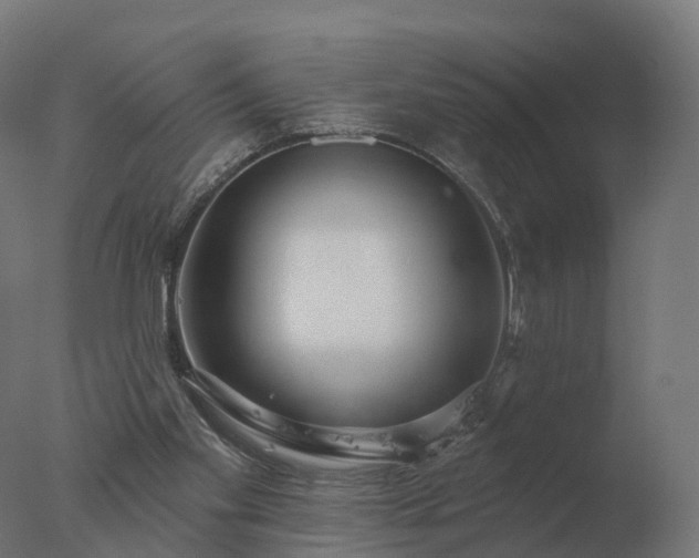 X0000077310109200610271654