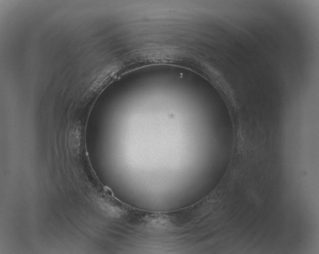 X0000077310113200610271654