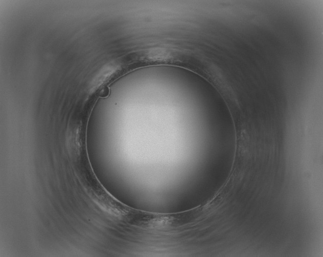 X0000077310116200610271654