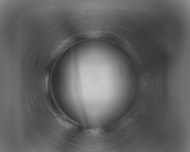 X0000077310118200610271654