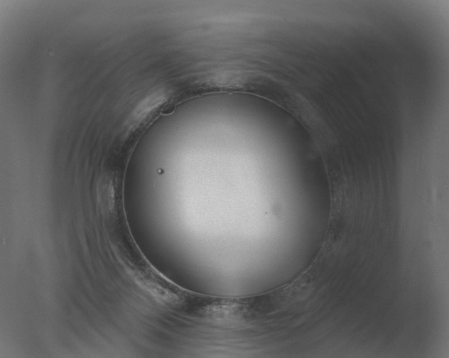 X0000077310120200610271654