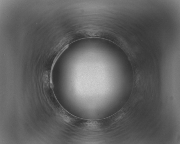 X0000077310121200610271654