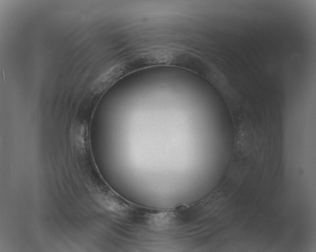 X0000077310122200610271653