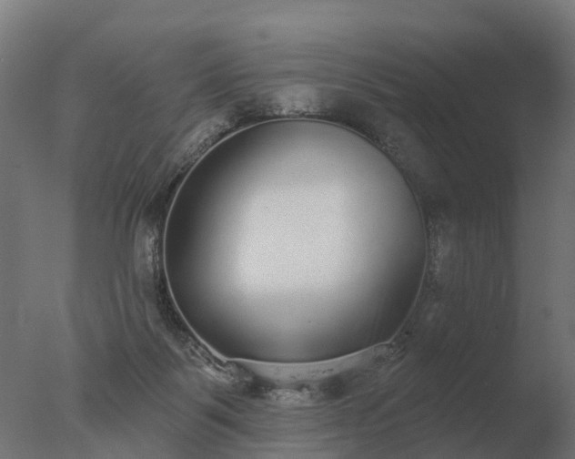 X0000077310123200610271653