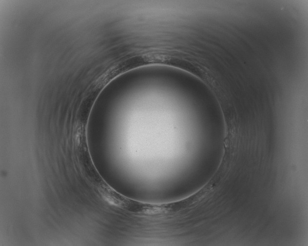 X0000077310125200610271653