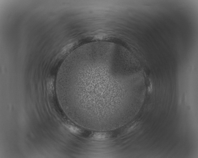 X0000077310127200610271653