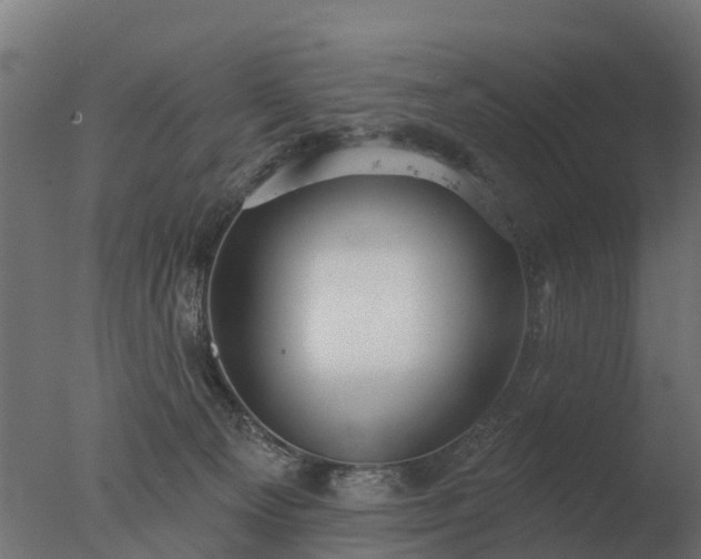X0000077310129200610271653