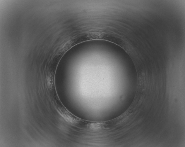 X0000077310134200610271653