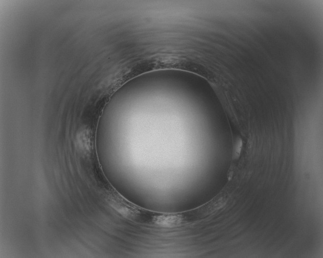 X0000077310135200610271653