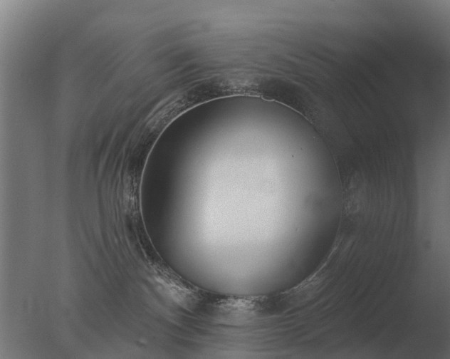 X0000077310140200610271653