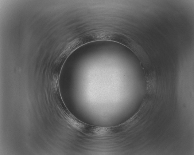 X0000077310142200610271653