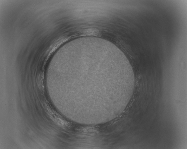 X0000077310146200610271652