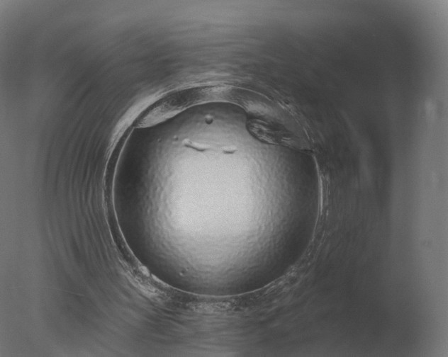 X0000077310147200610271652