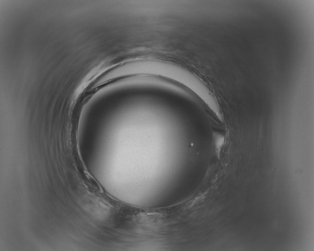X0000077310150200610271652