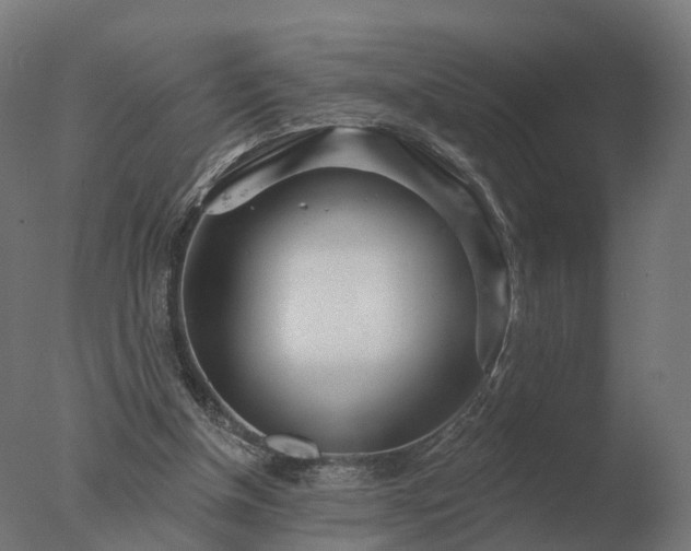 X0000077310154200610271652