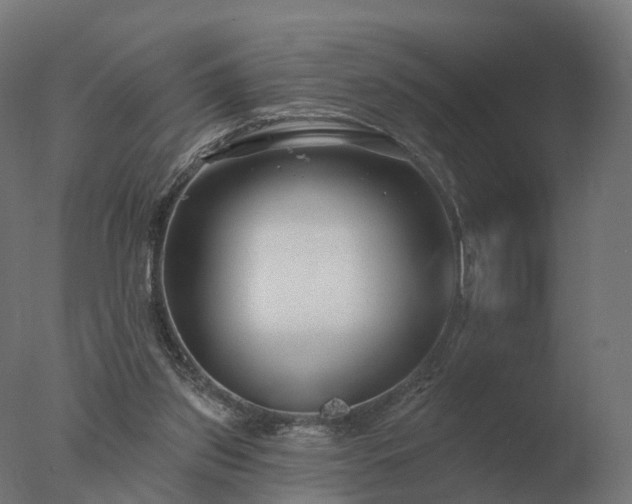 X0000077310157200610271653
