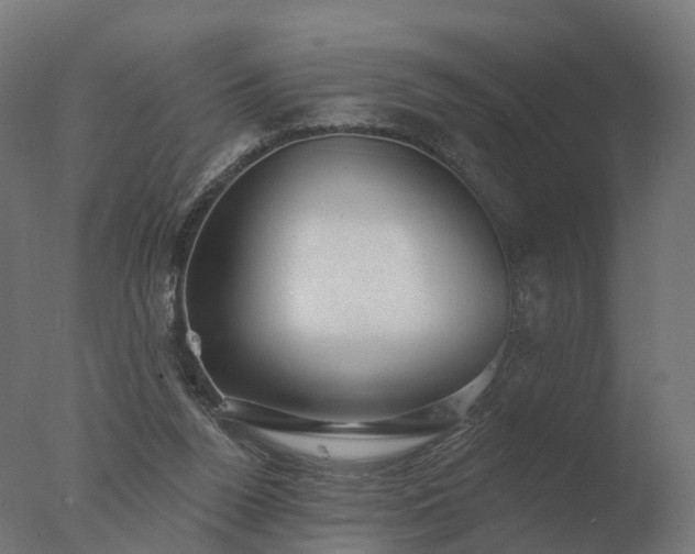 X0000077310160200610271653