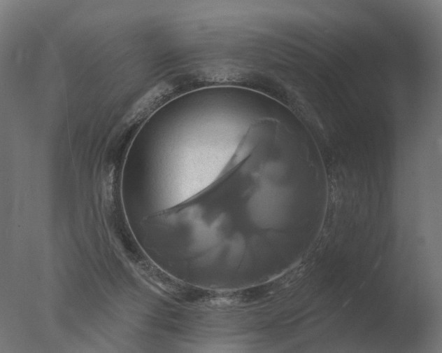 X0000077310163200610271653
