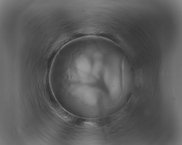 X0000077310167200610271653