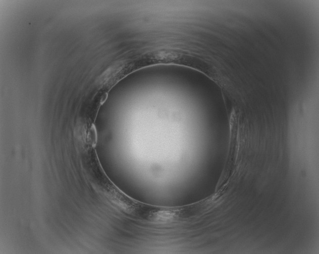 X0000077310176200610271653
