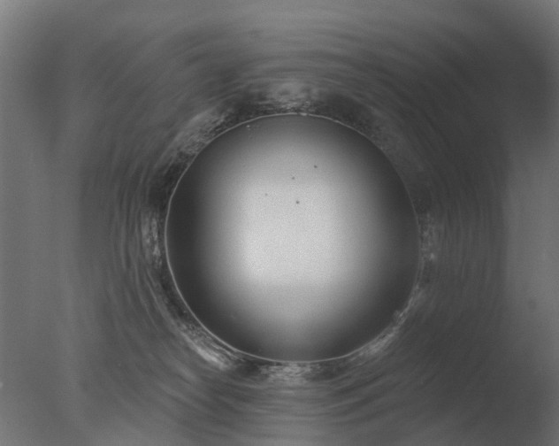 X0000077310182200610271653