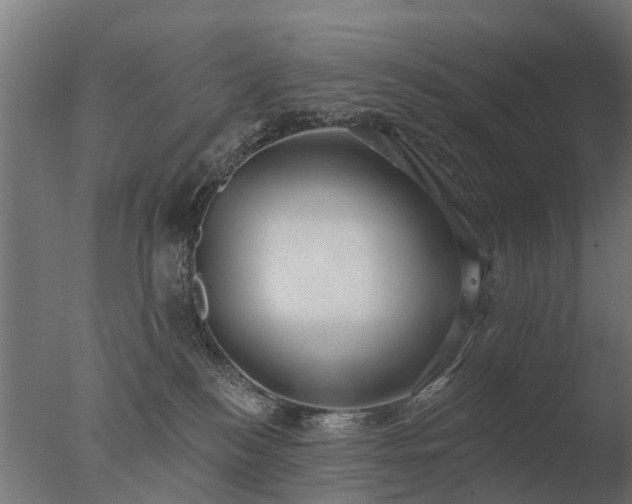 X0000077310184200610271653