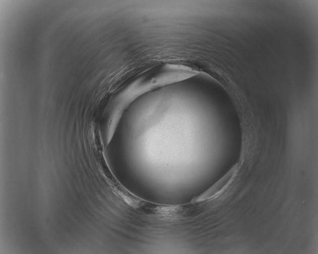 X0000077310192200610271653