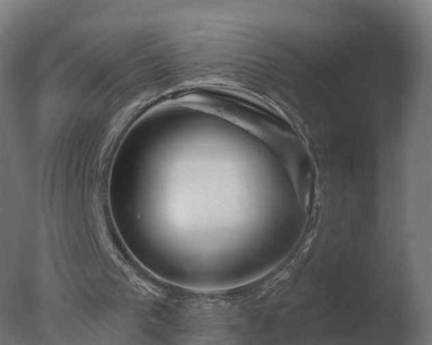 X0000077310193200610271652