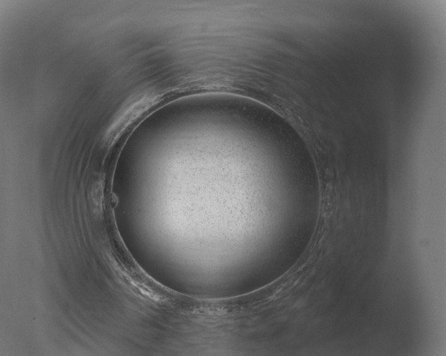 X0000077310194200610271652