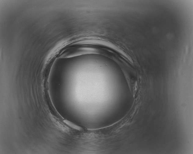 X0000077310197200610271652