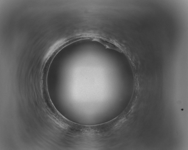 X0000077310199200610271652