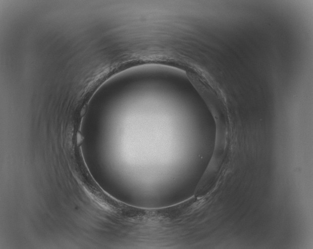 X0000077310201200610271652