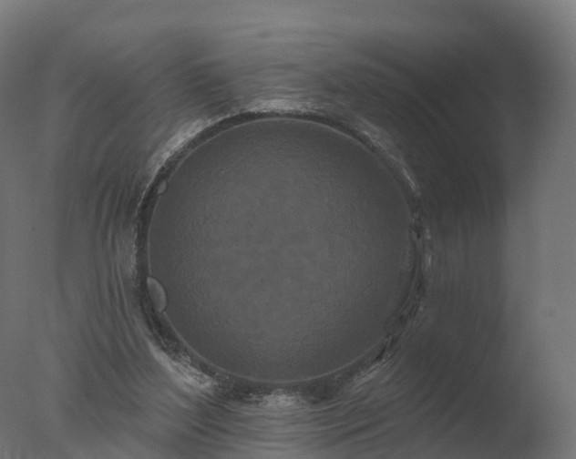 X0000077310204200610271652