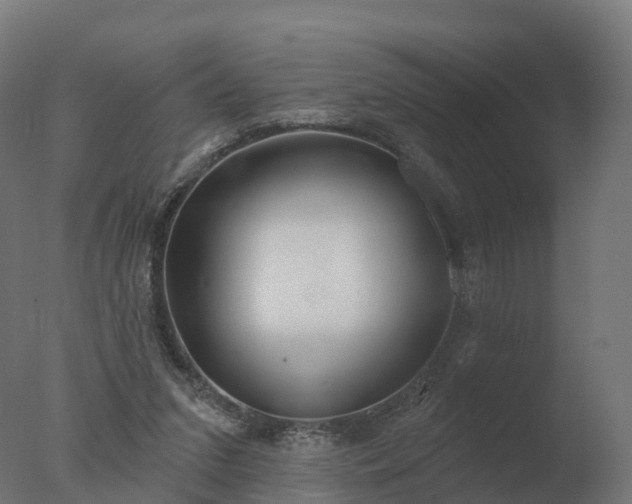 X0000077310207200610271652