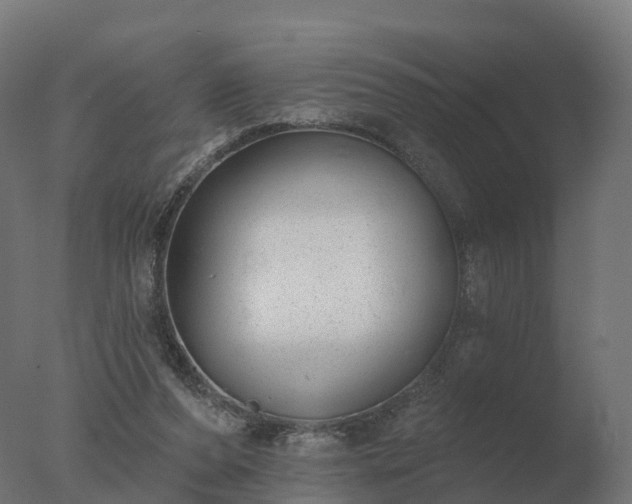 X0000077310208200610271652