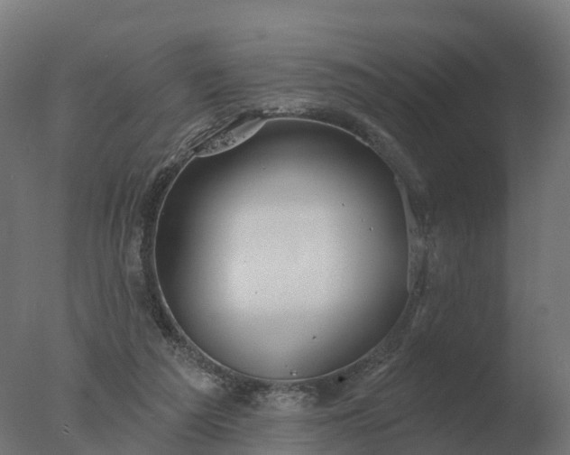 X0000077310209200610271652