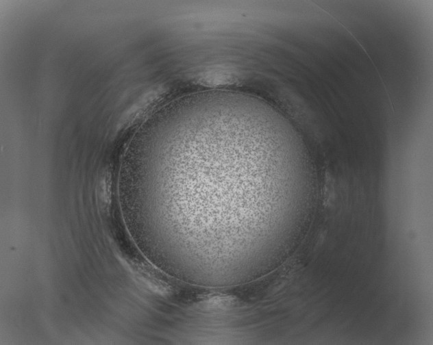 X0000077310210200610271652