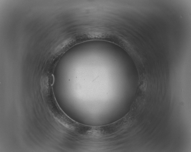 X0000077310211200610271652