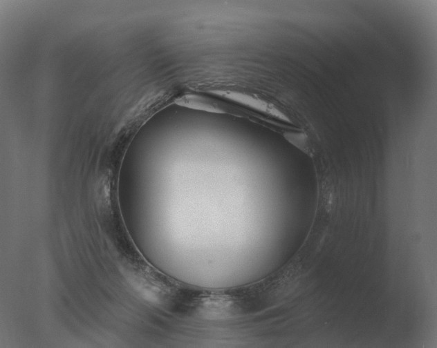 X0000077310214200610271652