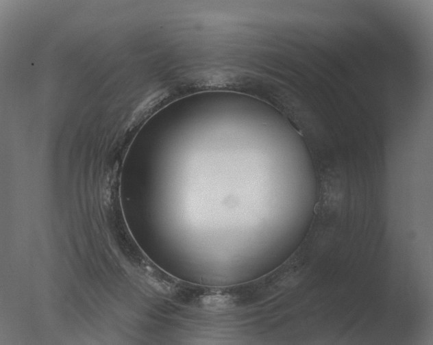 X0000077310216200610271652