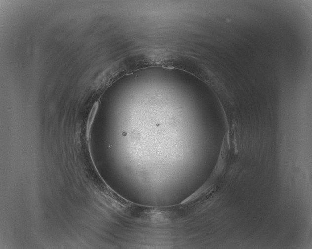 X0000077310221200610271652