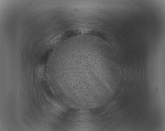 X0000077310222200610271652