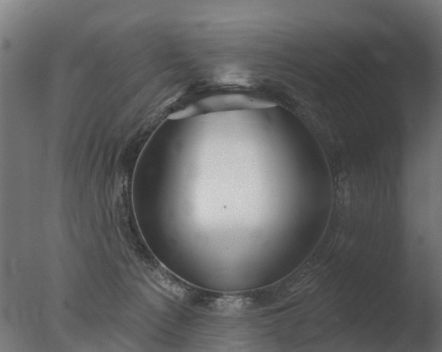 X0000077310225200610271652