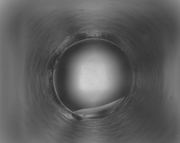 X0000077310229200610271652