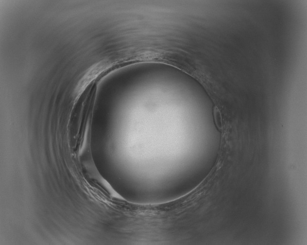 X0000077310242200610271651