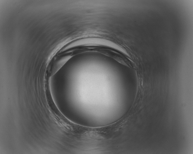 X0000077310244200610271651