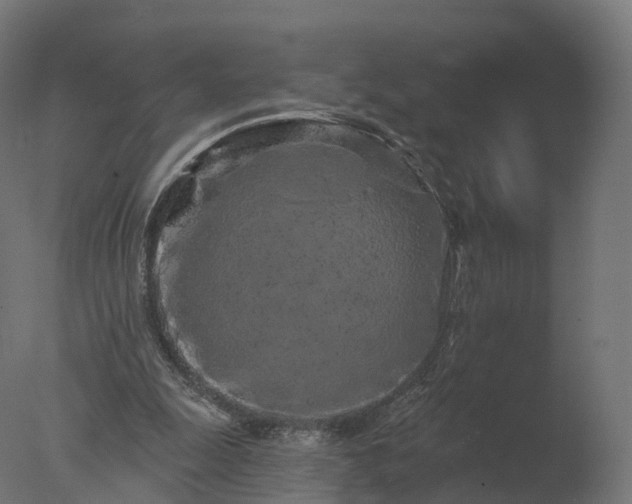 X0000077310247200610271651